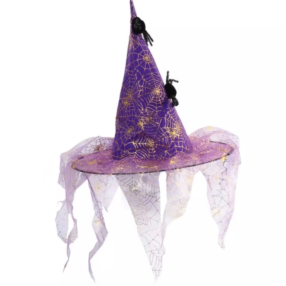 Purple Spider Web Witch Hat
